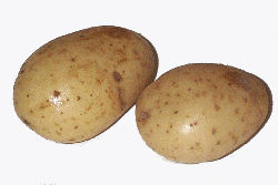 Good spuds