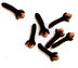 Cloves